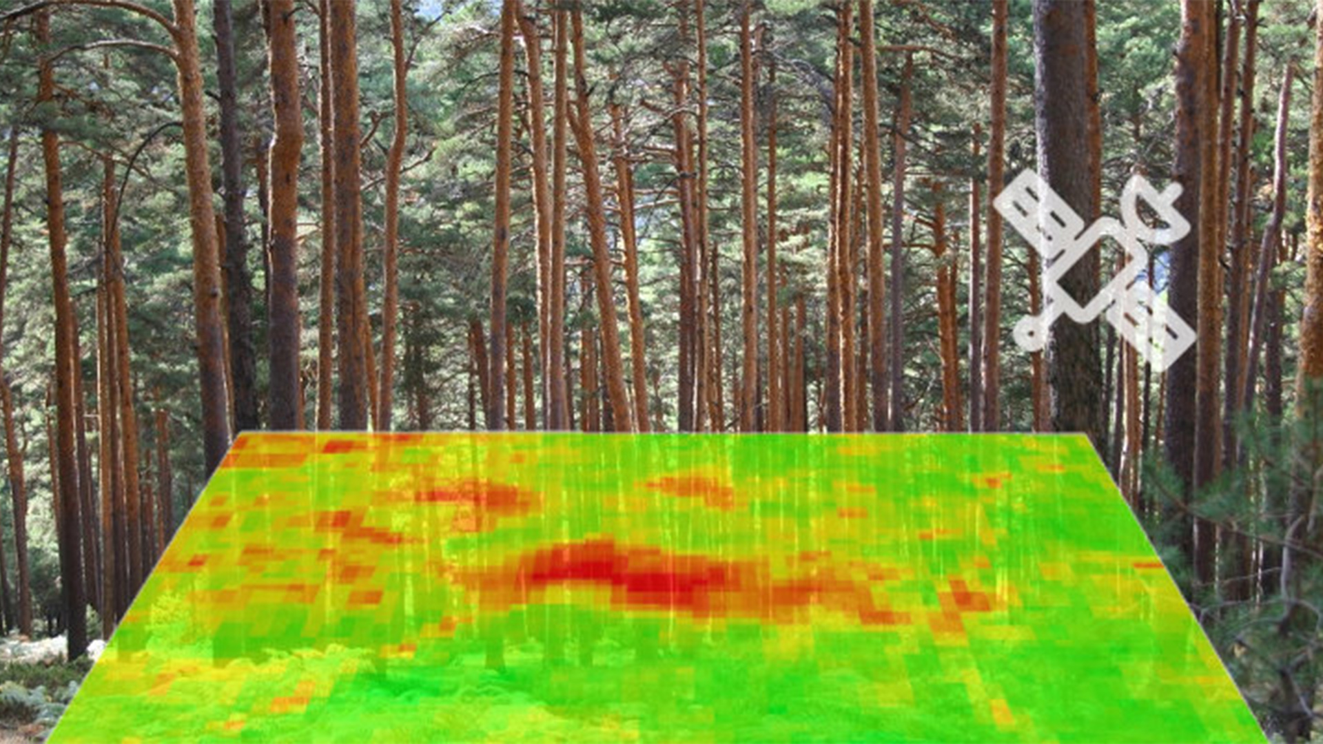 Aplicación de la teledetección para evaluar el vigor vegetativo de las masas forestales